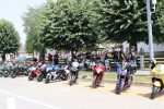 Proslava Dana općine Čađavica nastavljena 17. međužupanijskom izložbom hladnokrvnih konja i zaprega, defileom motorista i lovnim streljaštvom 29 m IMG 3916