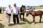 Proslava Dana općine Čađavica nastavljena 17. međužupanijskom izložbom hladnokrvnih konja i zaprega, defileom motorista i lovnim streljaštvom 41 m IMG 3952