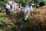 U Zokovom Gaju održane tradicionalne 18. Žetvene svečanosti Slovaka: Običaji žetve, pjesme i jela vratili Slovake u prošla vremena 14 18. Zetvene svecanosti Zokov Gaj 17 Custom