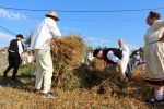 U Zokovom Gaju održane tradicionalne 18. Žetvene svečanosti Slovaka: Običaji žetve, pjesme i jela vratili Slovake u prošla vremena 20 18. Zetvene svecanosti Zokov Gaj 26 Custom