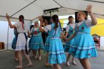 U Zokovom Gaju održane tradicionalne 18. Žetvene svečanosti Slovaka: Običaji žetve, pjesme i jela vratili Slovake u prošla vremena 28 18. Zetvene svecanosti Zokov Gaj 42 Custom