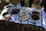 U Zokovom Gaju održane tradicionalne 18. Žetvene svečanosti Slovaka: Običaji žetve, pjesme i jela vratili Slovake u prošla vremena 1 1 18. Zetvene svecanosti Zokov Gaj 29 Custom
