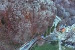 Park prirode Papuk ruši sve rekorde: Od siječnja do lipnja, područje pod zaštitom UNESCO-a vidjelo je najviše posjetitelja u povijesti, njih više 50.000 5 407810312 751597866996670 4219026360905600565 n