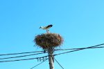 IMG 5325