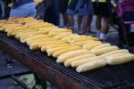 IMG 8001 1500x1000