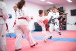 tkd slatina 50 1