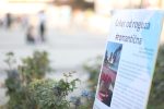 Otvoren tradicionalni virovitički sajam „VIROkreativa“: Brojni izlagači iz svih krajeva Hrvatske predstavljaju svojih ruku djelo 12 virokreativa 10