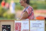 Otvoren tradicionalni virovitički sajam „VIROkreativa“: Brojni izlagači iz svih krajeva Hrvatske predstavljaju svojih ruku djelo 17 virokreativa 15