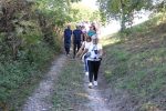 Vinski maraton 23 1000x633 1
