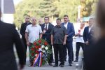 vocin jedan 17