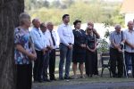 vocin jedan 3