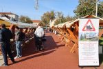 IMG 0128 1000x667 1