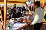 IMG 0147 1000x667 1