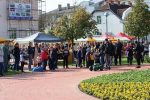 IMG 0235 1000x667 1