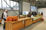 Prvi dan nove trznice 2
