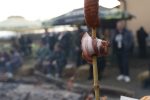 kobasijada duga medja 476