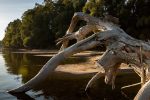 Započela provedba projekta “Enhancing flood and drought resilience along the river Drava - Povećanje otpornosti na poplave i suše duž rijeke Drave“ 4 bosilent projekt 3
