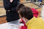 Učenici cvjećari predstavili bogatu kolekciju sjemena na prvom školskom sajmu Industrijsko-obrtničke škole Virovitica 1 dfef2eed e9af 4409 93a3 c3cf0e759509d