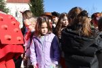 maskara vocin ministar 199