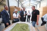 OPG Sajko: Vizionar koji spaja prirodu i tehnologiju u srcu Slavonije, koji je u Čađavici stvorio energetski neovisno imanje koje pokazuje budućnost održive poljoprivrede 15 opg sajko 110