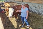 OPG Matuzalem kandidat VPŽ za nagradu Zlata vrijedan: „U poljoprivredi ima nade, od stočarstva se može živjeti“ 8 20240726 125227
