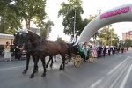 otvorenje rokova 146