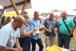 pekmezijada 452