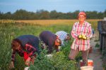 Jutro s vrijednim poljoprivrednicima OPG-a Ivone Andrašić Presečan najbolje hrvatske poljoprivrednice: Težak je ovo posao, ali mi ga volimo, naradimo se, ali i zaradimo, ovo je naš kruh 21 radnici 144