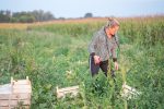 Jutro s vrijednim poljoprivrednicima OPG-a Ivone Andrašić Presečan najbolje hrvatske poljoprivrednice: Težak je ovo posao, ali mi ga volimo, naradimo se, ali i zaradimo, ovo je naš kruh 10 radnici 62
