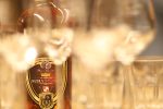 wine not 2025 189