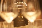 wine not 2025 196