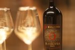 wine not 2025 203