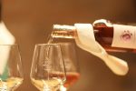 wine not 2025 245