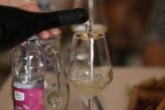 Wine not!? u bajkovitom dvorcu Janković: Brojni posjetitelji uživali u vrhunskim vinima, plemićkim zalogajima i zvucima Suhopoljskih tamburaša 12 IMG 2348