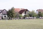 IMG 4655