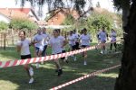 IMG 4686