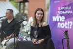 Wine not!? u Dravskoj priči: Vinski party u plemićkom perivoju spojio prirodu, povijest i vino 31 wine not dravska 192