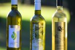 Wine not!? u Dravskoj priči: Vinski party u plemićkom perivoju spojio prirodu, povijest i vino 39 wine not dravska 247