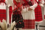 IMG 8475