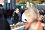 “Jesen u gradu” ispunila virovitičku šetnicu ispred Gimnazije Petra Preradovića i s pogledom na Dvorac Pejačević uz mirise, okuse i zvukove jeseni 7 jesen u gradu i agroexpo 18