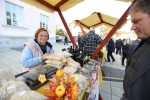 jesen u gradu i agroexpo 632
