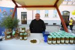 jesen u gradu i agroexpo 664