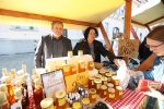 jesen u gradu i agroexpo 675