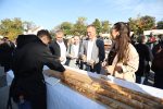 “Jesen u gradu” ispunila virovitičku šetnicu ispred Gimnazije Petra Preradovića i s pogledom na Dvorac Pejačević uz mirise, okuse i zvukove jeseni 67 jesen u gradu i agroexpo 701