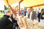 jesen u gradu i agroexpo 735
