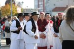 “Jesen u gradu” ispunila virovitičku šetnicu ispred Gimnazije Petra Preradovića i s pogledom na Dvorac Pejačević uz mirise, okuse i zvukove jeseni 22 jesen u gradu i agroexpo 76
