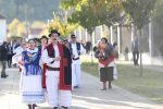 kestenijada vocin 26