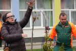 Suhopolje postalo bogatije za još jednu zelenu priču: Učenici, šumari i Općina udružili snage u stvaranju ljepšeg školskog okoliša 10 DSC08944 Custom
