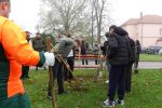 Suhopolje postalo bogatije za još jednu zelenu priču: Učenici, šumari i Općina udružili snage u stvaranju ljepšeg školskog okoliša 20 DSC08981 Custom