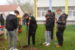 Suhopolje postalo bogatije za još jednu zelenu priču: Učenici, šumari i Općina udružili snage u stvaranju ljepšeg školskog okoliša 24 DSC09000 Custom